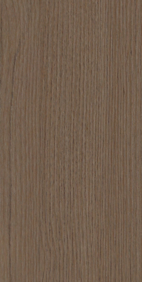 伊丽莎白